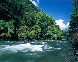 《生化危机4》迎来发售19周年