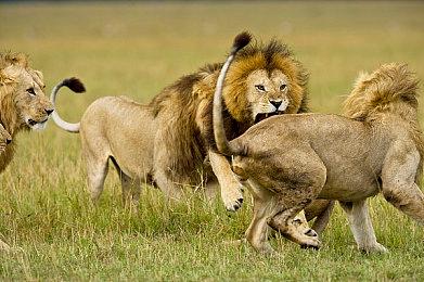 《星之海》开发团队宣布游戏已制作完成 并将首日加入XGP