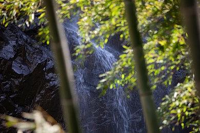 《沙漠大冒险》九分钟概述预告 4月26日正式发售